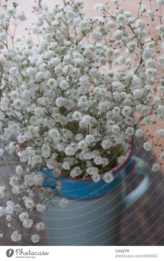 Gypsophila in a blue clay jug Baby's-breath Earthenware jug Vase plants Decoration table decoration White