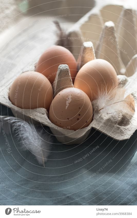 4 eggs in the box surrounded by chicken feathers in the morning light Chicken eggs Eggs cardboard Chicken Feathers organic Interior shot Easter