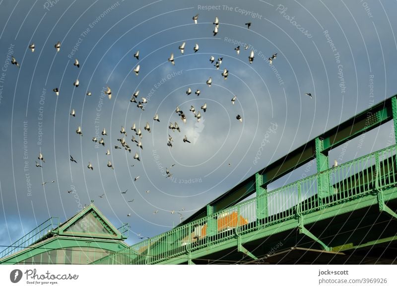 Swarming over the Eberswalder elevated railway Flock of birds Bird Subway station Eberswalder Street Schönhauser Allee Clouds Prenzlauer Berg Bridge