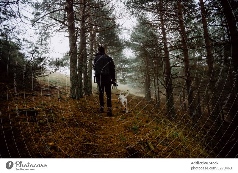 Man walking in autumn forest with dog man together fog stroll season friend male woods path nature animal canine mist way haze loyal woodland activity tree pet