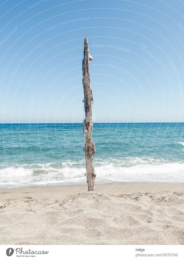 Alluvial wood vertical Exterior shot Blue Deserted vacation driftwood coast Beach Sun Ocean Summer Sky Nature Beautiful weather Water Horizon Vertical