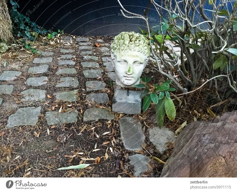 Statue in the allotment garden Garden Head portrait Monument Gypsum Greek Roman Ancient civilization pavement paving stone Cobblestones Face Classic shrub bush