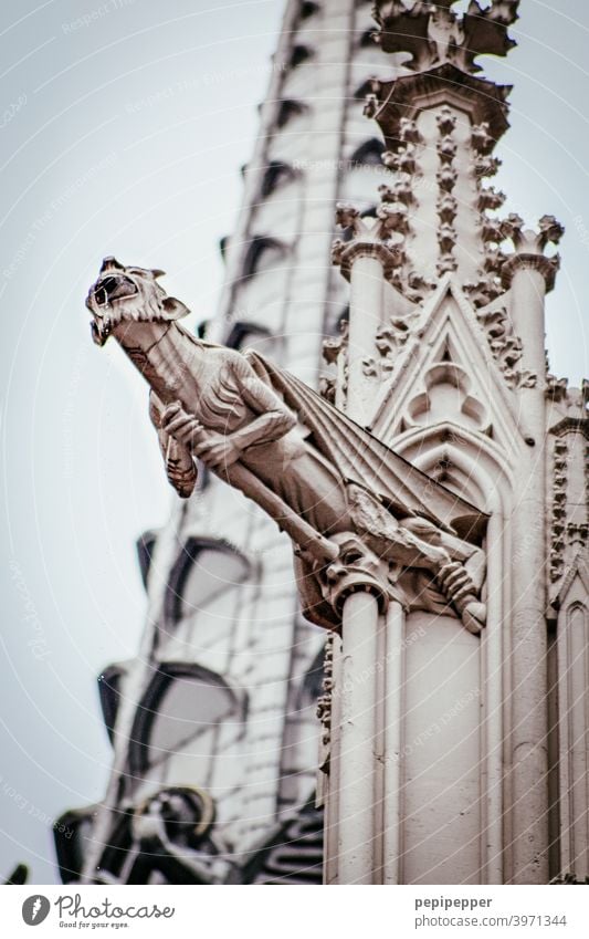 Stone figure at Cologne Cathedral Stone statue Dome Church Church spire Church window Devil Tourist Attraction Landmark Colour photo Exterior shot