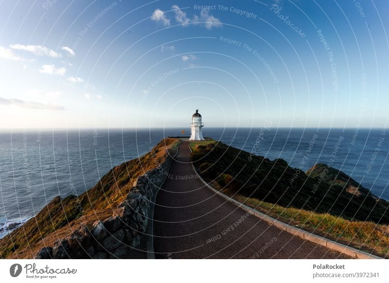 #AS# Cape Reinga II Cape Reinga Lighthouse cape reinga New Zealand North Freedom Adventure Sunset Deserted End Vantage point Waves Far-off places coast Ocean