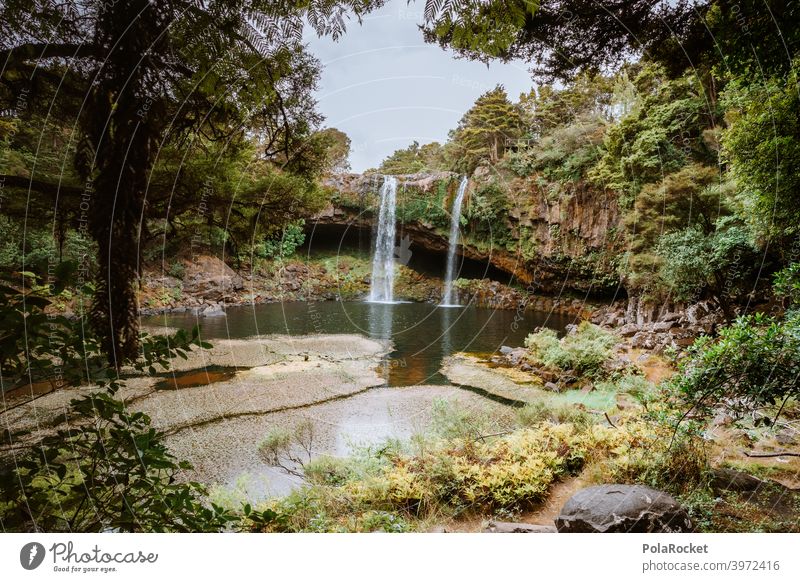 #AS# Where are the mythical creatures? Vacation & Travel Comforting Wilderness Rock Environment Plant New Zealand covert Exterior shot Deserted