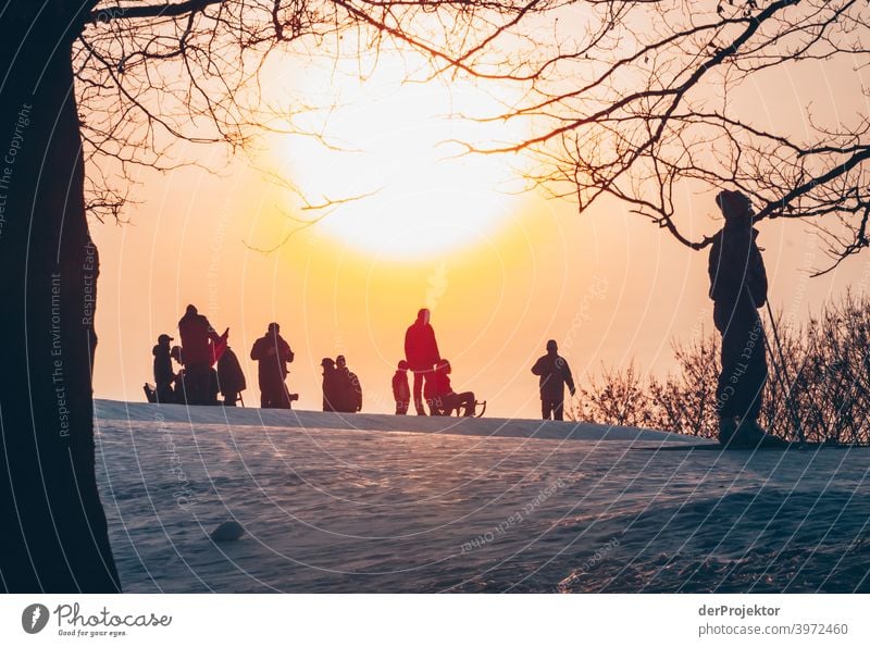 Sledding in Berlin in the Britzer Garten II Experiencing nature Vacation & Travel Joie de vivre (Vitality) Landscape Tourism Light Contrast Shadow Sunbeam