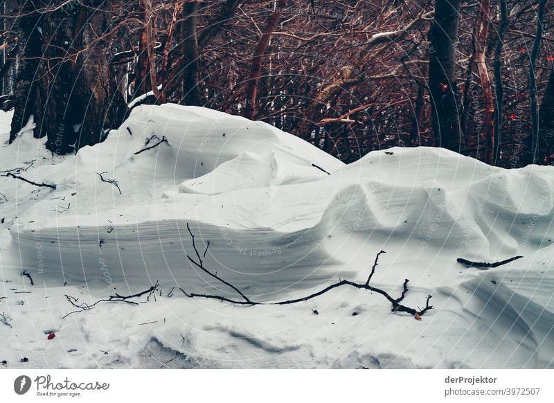 Snowdrift on Rügen after a snowstorm Panorama (View) Long shot Deep depth of field Shadow Light Copy Space middle Copy Space bottom Copy Space left