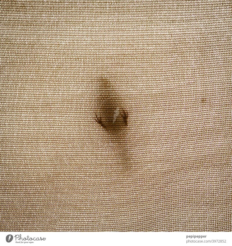 Shadow of a bird on a sun sail, photographed from below almost only the claws are visible Bird's-eye view Worm's-eye view Animal Colour photo Exterior shot