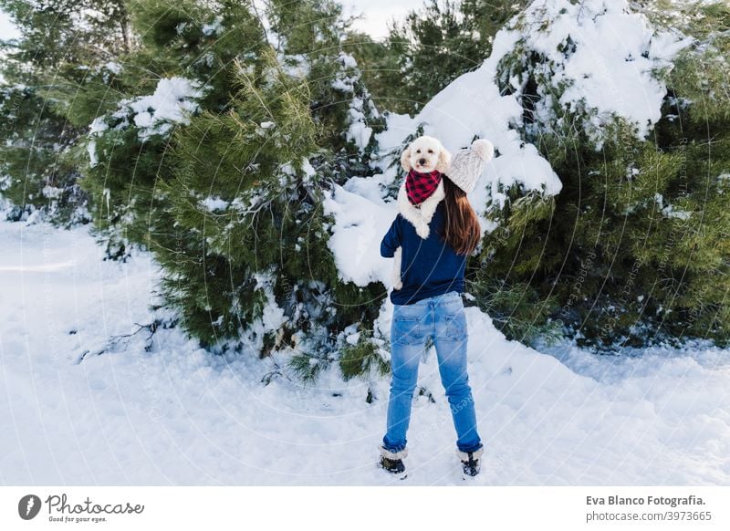 beautiful woman in snowy mountain holding cute poodle dog on shoulder. Dog wearing plaid bandana. winter season. nature and pets blanket travel owner love