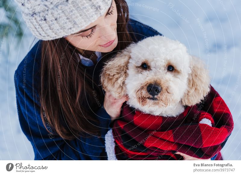 beautiful woman in snowy mountain Holding cute poodle dog in arms wrapped in plaid blanket. winter season. nature and pets travel owner love together back view