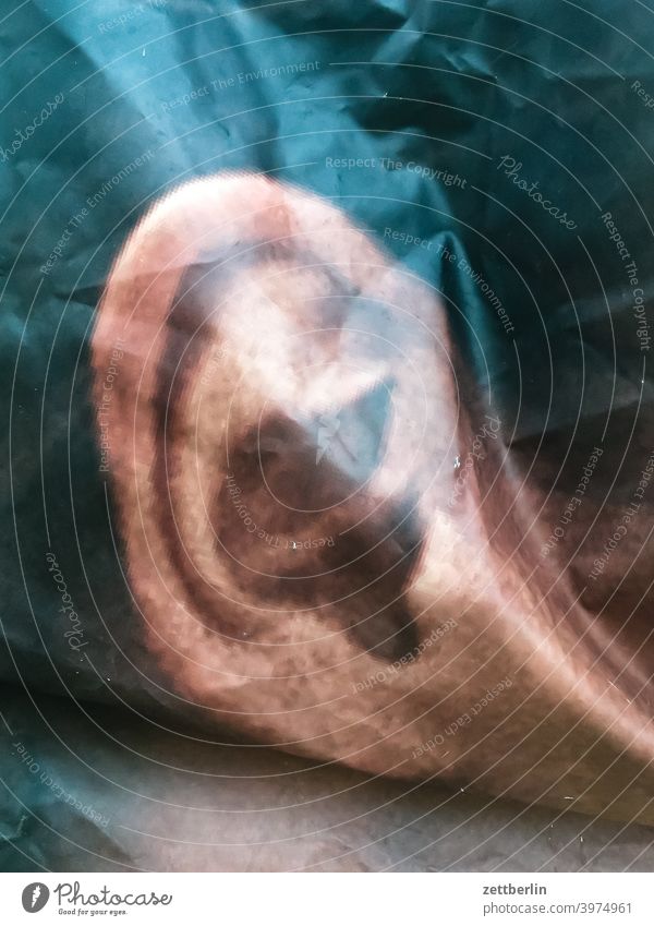 Poster with ear Ear External ear Ear lobe Hearing Ear canal perception Meaning Sense Organ Image image Bend Wrinkles Advertising outdoor advertising portrait