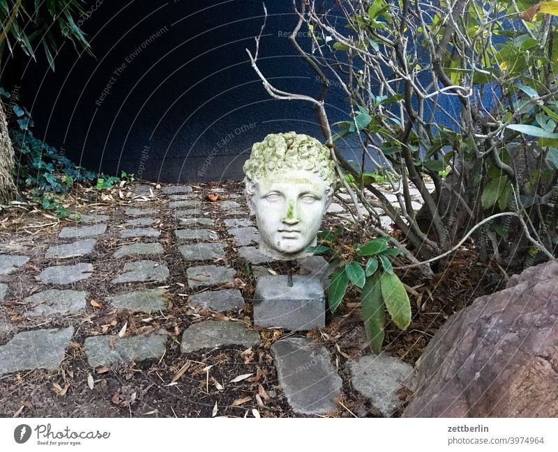 Greek statue in allotment garden Garden Head portrait Statue Monument Gypsum Roman Ancient civilization pavement paving stone Cobblestones Face Classic shrub