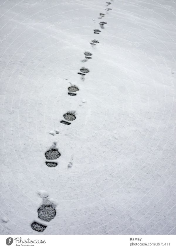 Footprints of a man in the snow Snow Tracks footprints Steps Imprint Hiking on one's own White Cold Frost Winter wide Frozen trace Ice Empty off feet Season