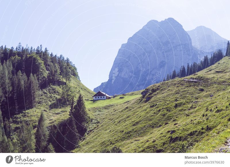 Alpine hut in the mountains Alpine pasture Alpine pastures alpine hut Alps Berchtesgaden mountain landscape Mountain landscape Halsalm Summer Forest