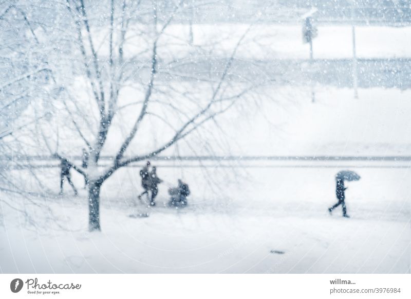 urban winter Winter Snow people Street Going rush Family Tree snow-covered Footpath Cold Winter mood Winter's day Walking To go for a walk