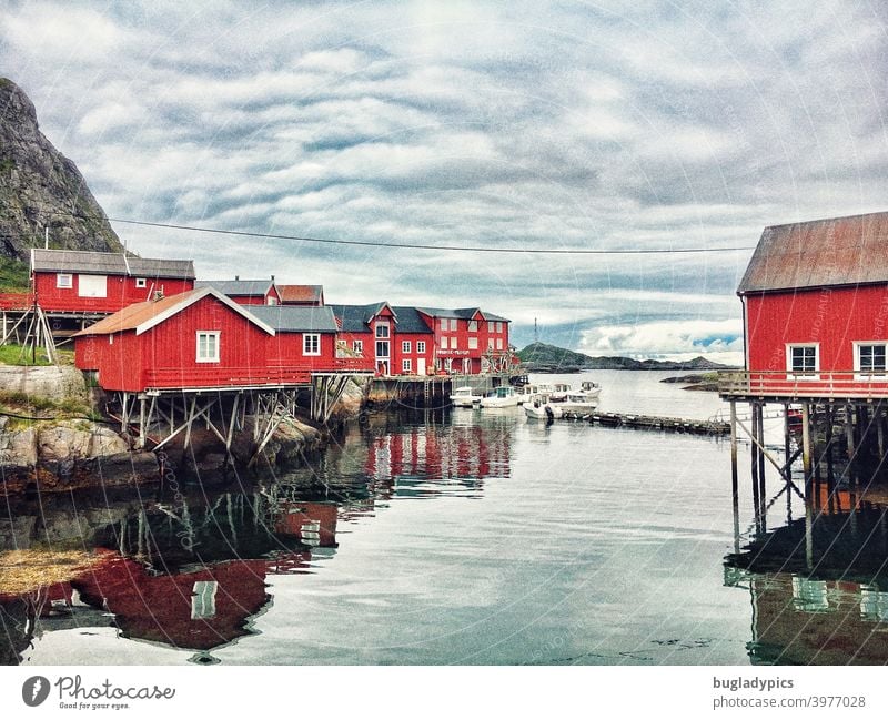 Rorbuer / Red houses on the Lofoten in Norway stilt house stilts Fishing village Fishery Fishermans hut Fishing huts Lofotes Lofoten Islands Scandinavia