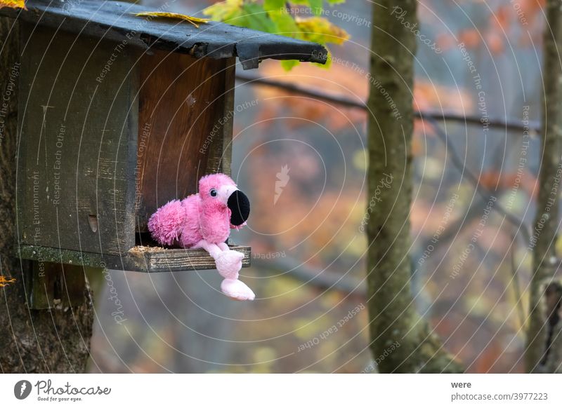 Stuffed animal flamingo sitting in bird feeder in forest Fake Flamingo alien animal wildlife copy space cuddly toy false misplacement nobody pink terry cloth