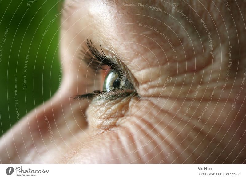 crinkles around the eye Woman Eyes Eyelash Looking iris Iris Senses Detail farsighted nearsighted Eye colour macro Eyelid Vision optical Eye-catcher naturally