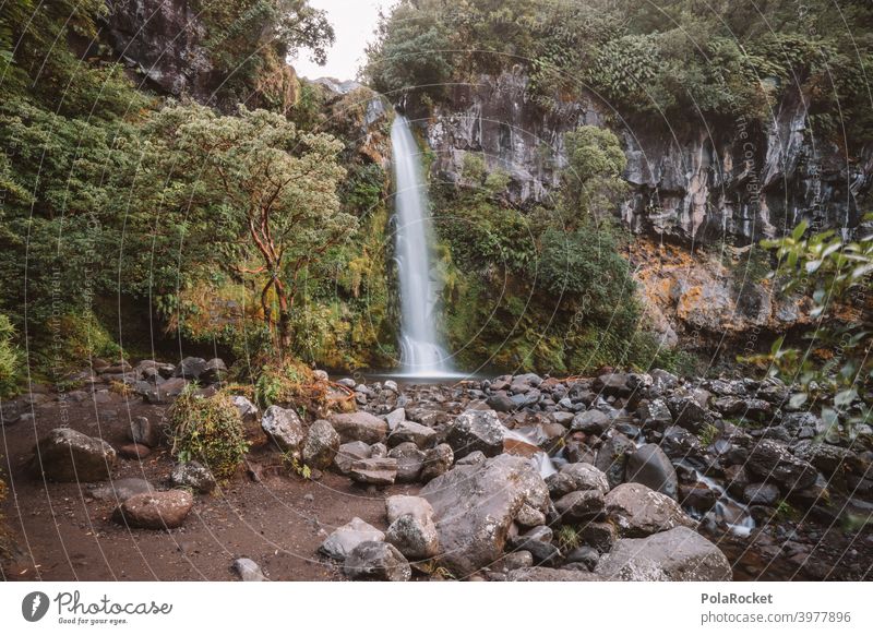 #AS# Dawson Falls II Waterfall Tree Nature Nature reserve Adventure Landscape Exterior shot Deserted Central perspective covert New Zealand Vacation & Travel