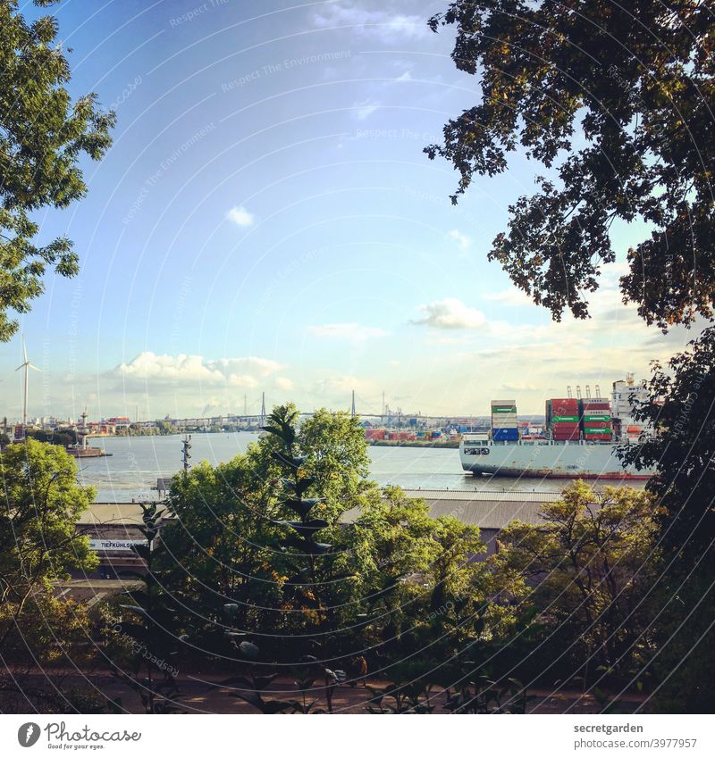 View of the Köhlbrand Bridge. A ship passes by. Elbe Hamburg Port of Hamburg Container ship Kohlbrand bridge Summer Water Vantage point Sky trees Frame Harbour