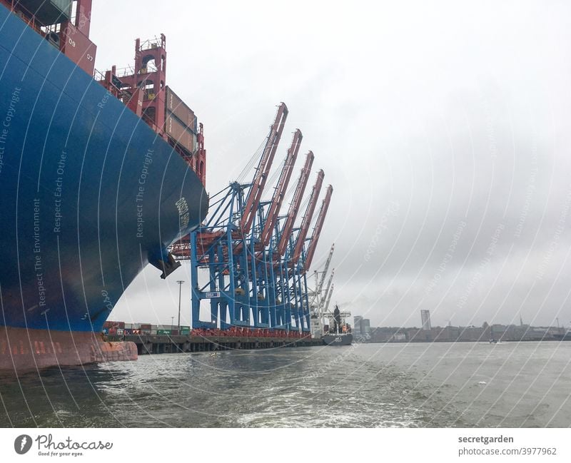 Cornern on the Elbe. Hamburg Harbour Crane Water Sky Bad weather Clouds Navigation ship Container ship Logistics Port City Exterior shot Colour photo