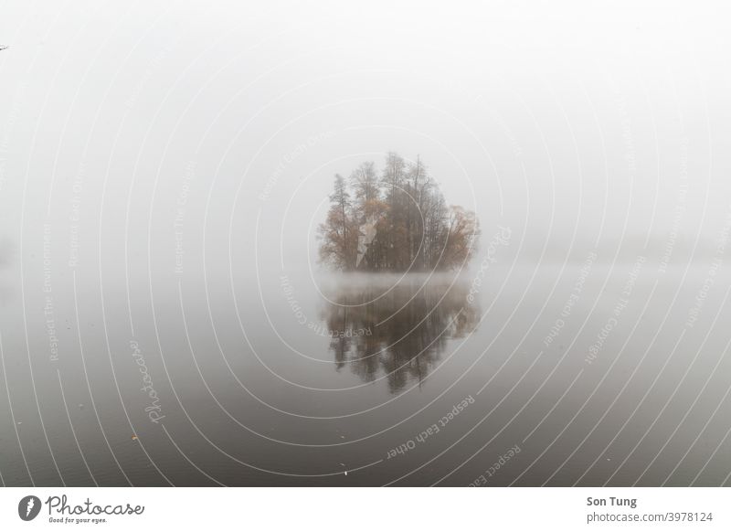 Autumn lake mist autumn tree alone lonely romantic minimalism