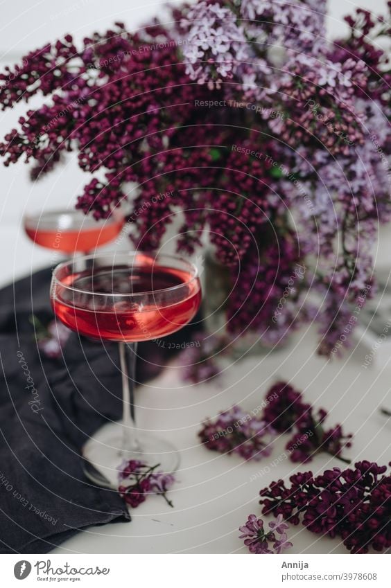 Cocktail with Lilac bar lifestyle lilac lilacs set up still life Beverage Bar Glass Alcoholic drinks Feasts & Celebrations Party Interior shot Drinking