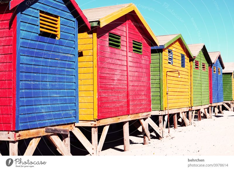 red blue yellow red green red blue green famous Art Architecture Wooden house variegated Changing cabine Muizenburg beach Sunlight Contrast Shadow Light