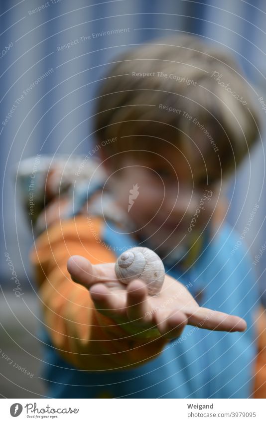 Boy with snail shell in hand Boy (child) Snail shell amass Elementary school Kindergarten Infancy grow up