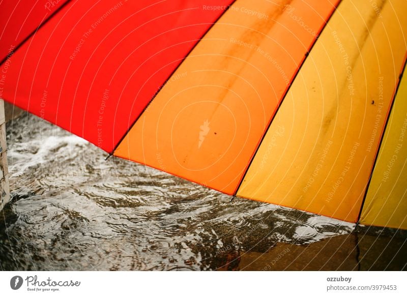 close up of colorful Umbrella on rainy day umbrella weather season wet outdoor water drop background nature protection raindrop fall storm outside spring safety