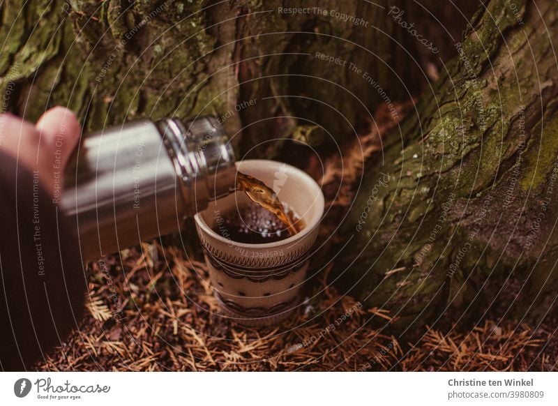 Tea break on the way. A cup stands on the forest floor, this is covered with brown needles. Tea / coffee is poured from a silvery thermos bottle. tea break