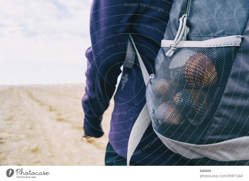 shells collected from the beach colourful harmony spirituality people happiness joy back way color image daytime one person seashell wavy backpack nature symbol