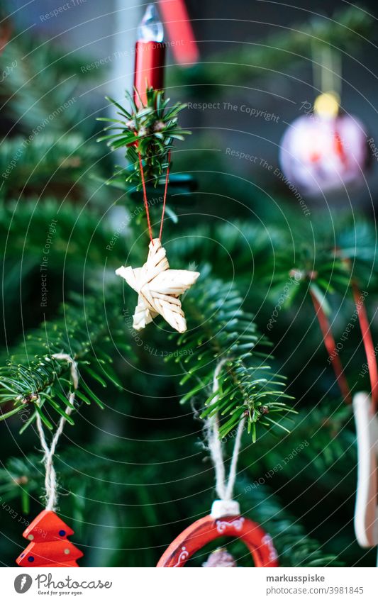 Christmas tree decoration Child Infancy christmas ball Christmas bell Christmas gift christmas party Christmassy colourful embellish Decoration English holly