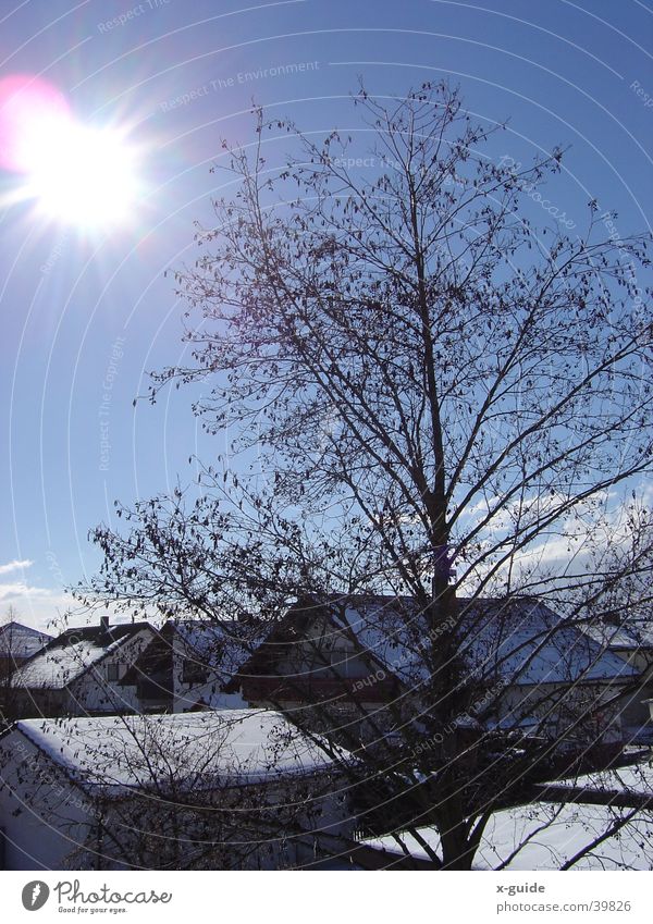 Sun rays in winter Colour photo Exterior shot Day Winter Snow House (Residential Structure) Sky Tree Friendliness Glittering Natural Positive Blue White powder