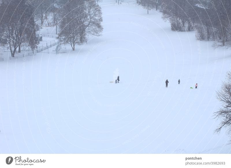 Parents with their children on a toboggan hill in winter Snow Sleigh Sledding hill Joy fun chill Infancy