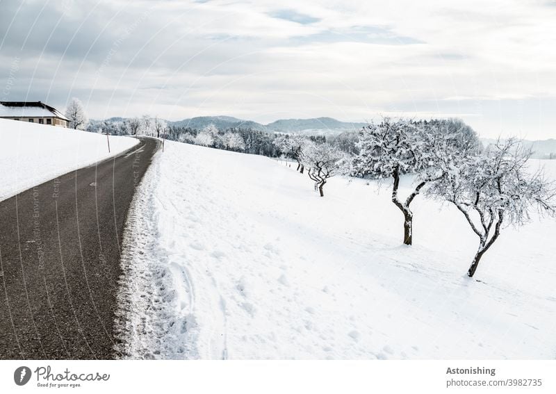 Winter landscape with road and trees winter landscape Street Nature Snow White off Vantage point Horizon Forest Austria mill district trace Environment Weather