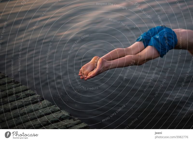 A jump headfirst into the lake | The body disappears in a moment into the water | It is summer and the last rays of the evening sun are shining over the water