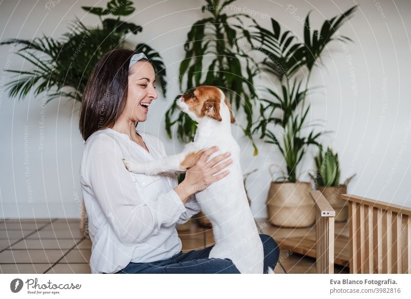 happy woman and dog relaxing at home after working assembling furniture. DIY concept. woman kissing dog. love do it yourself hug together owner jack russell