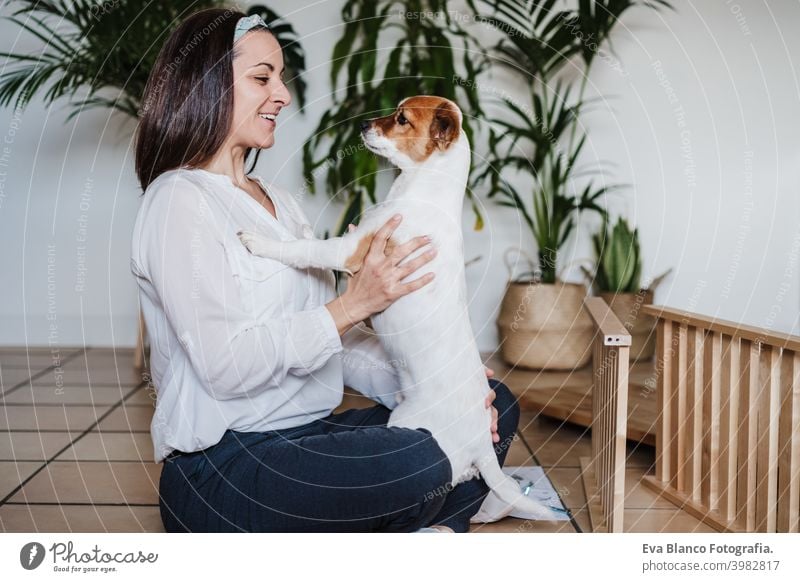 happy woman and dog relaxing at home after working assembling furniture. DIY concept. woman kissing dog. love do it yourself hug together owner jack russell