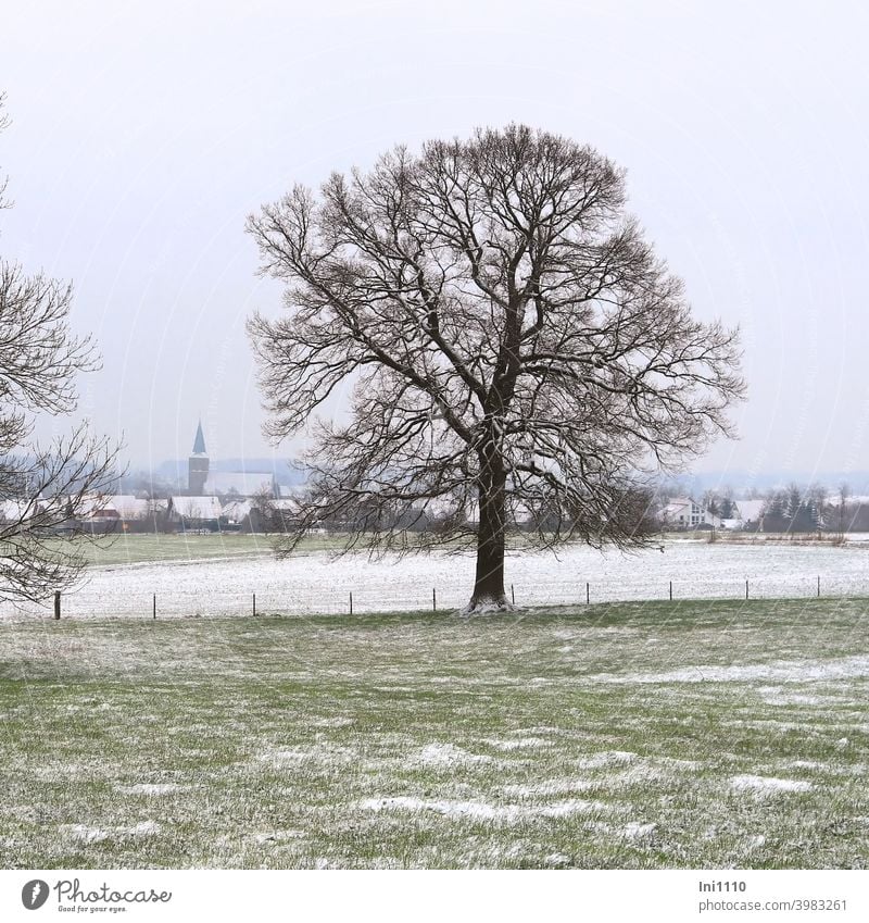 View through two trees over lightly snowed meadows and fields to the church in the village Winter Winter mood Dreary Cold houses Church Village light snowfall