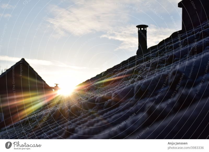 Sunrise over a frozen roof with moss ice white sky blue clouds day sun sunshine house home city settlement housing scheme outside outdoors cold winter growth