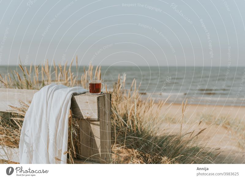 By the sea tea blanket beach sand morning Beach chair Ocean Sand Coast North Sea Baltic Sea Morning Vacation & Travel Relaxation Summer Tourism Sky