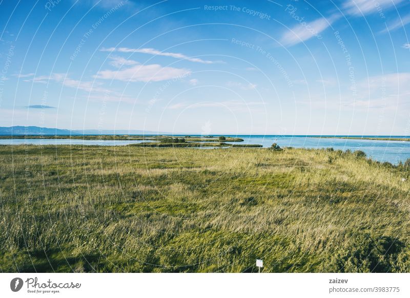 rural landscape in the delta del ebro with the agriculture of the area system horizontal environmental interest ecosystem farmland spanish daytime ecological