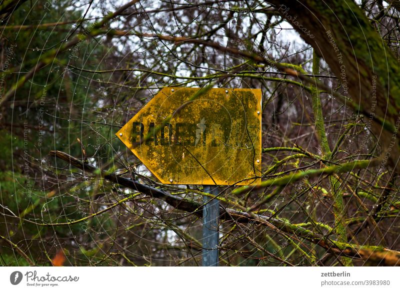 bathing area Branch Tree Berlin Relaxation holidays Grunewald Autumn Deserted Nature Plant tranquillity shrub Copy Space Depth of field Forest hike Winter Twig