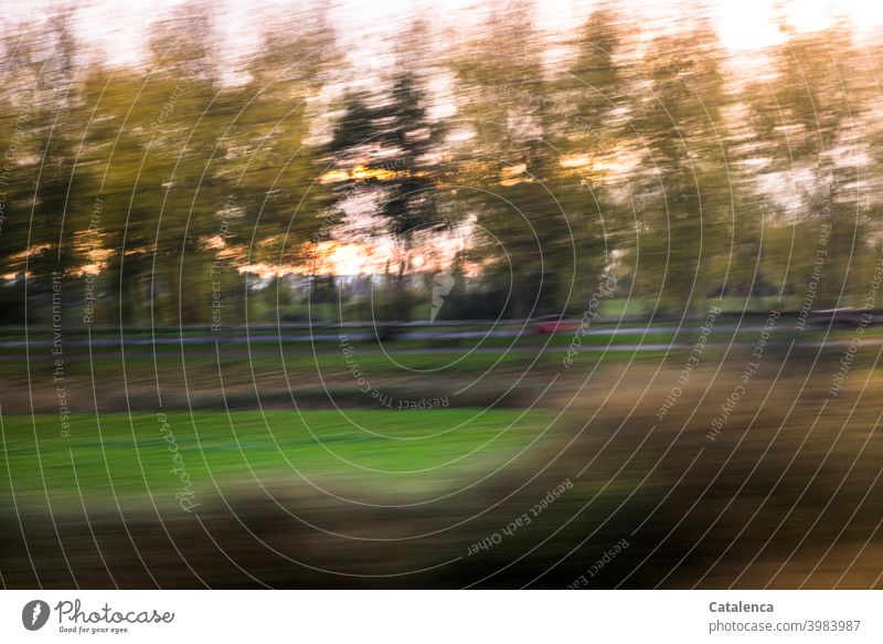 A red car on the country road, meadow, trees, the sun is setting; view from the train window Nature Landscape Street Car Crash barrier Autumn Twilight Evening