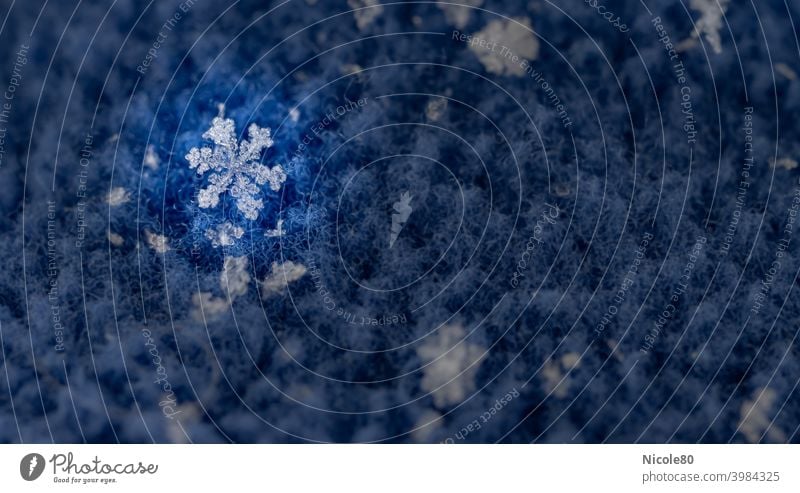 Snowflake on blue fleece with spotlight Snowflake on fabric Fleece Winter Cold Ice Exterior shot Snowfall Frost Colour photo Blue Delicate Fragile Ice crystal