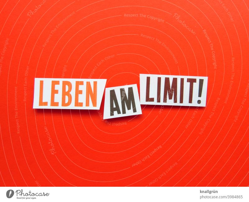 Life at the limit! Extreme Adventure Limit Exciting Sports Extreme sports Action Adrenalin happiness hormones Dangerous Risk feelings of happiness Testosterone