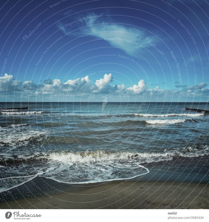 Background noise Baltic Sea Sky Clouds coast Elements Air Water Waves Maritime wide Sand Sandy beach Idyll Blue Lonely Landscape Environment Horizon Ocean Day