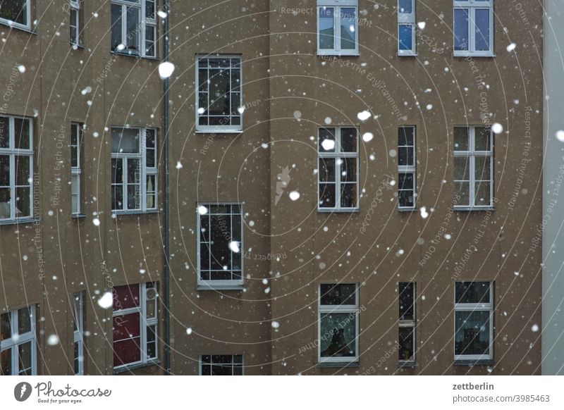 Snow in the backyard Old building on the outside Facade Window House (Residential Structure) rear building Backyard Courtyard Interior courtyard downtown