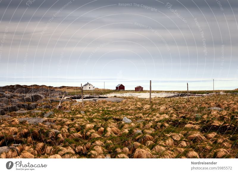 Lonely and remote farm on the Lofoten in Norway House (Residential Structure) Ocean Lofotes Farm settlement Village Bog Marsh houses Barn Agriculture coast